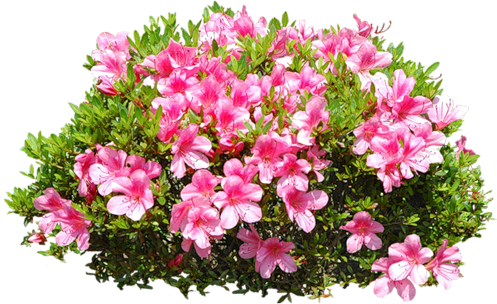 0_1312ab_dd8f679e_orig_yapfiles.ru