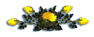 _arnusha