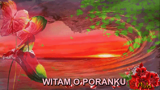 OW5mekkIFSiV222222222222