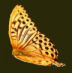 1__arnusha