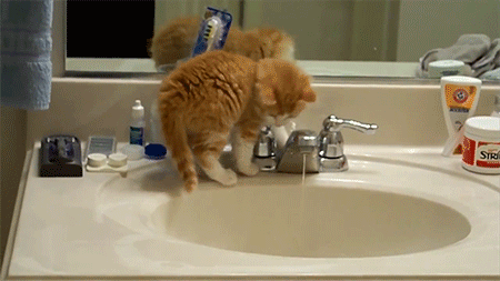 92013798160094_1_(8)