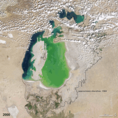 240px-Aral_sea