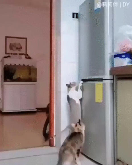 ОПГ