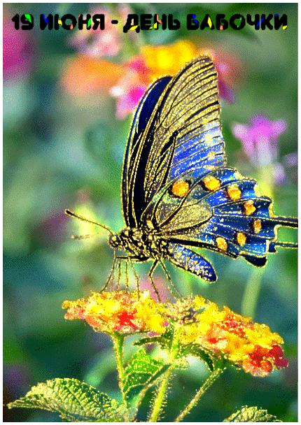 ezgif-3-7a6125a38df8 (1)