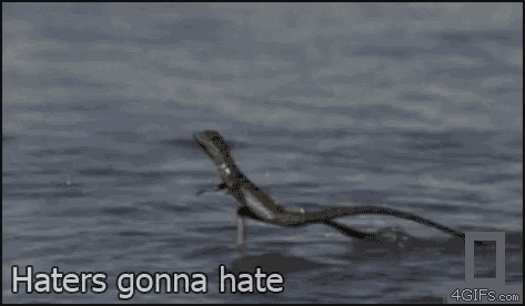 Jesus_lizard_haters
