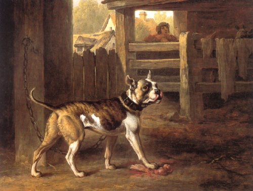 Philip_Reinagle_-_Bulldog