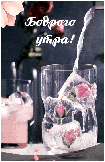 ezgif-3-4e3df631c038 (1)