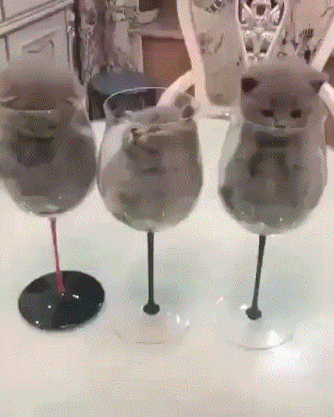 video2gif_20190619_075257