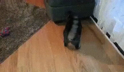 111