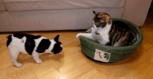 4e4af2bf47afb2c786566e1b28050691