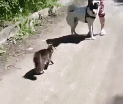 8ab435b36b5a921cee1cf7ddcd1d208d_264301_1496572146