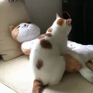 getfvid_btXC6FouN51Nr4iQ