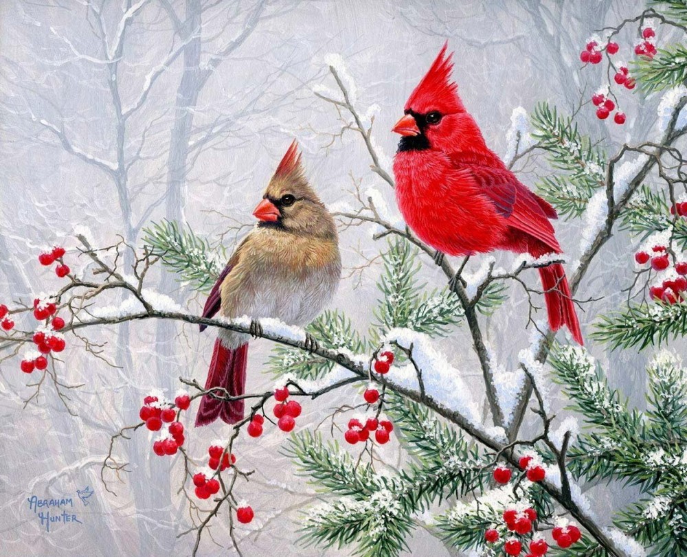 Abraham Hunter-birds-طيور2 | Christmas paintings, Painting, Cardinal ...