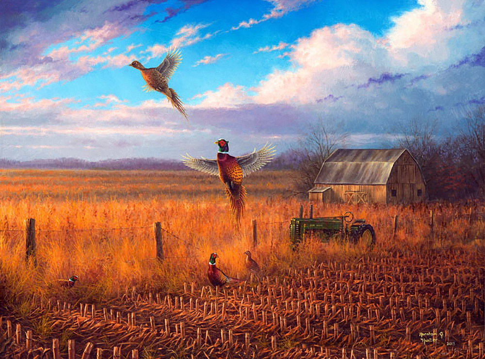 художник авраам хесселинк песнь заката. Philipp ferdinand de hamilton (brussels 1664-1750). художник с птичьей фамилией. франк гонсалес птицы картины. галина эстис.