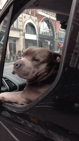 5c0043b6b5e5dd41a1c83dfd63af493a_187763_1552388032