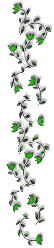 1_3_arnusha