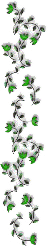 1_3_arnusha
