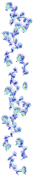 1_3_arnusha