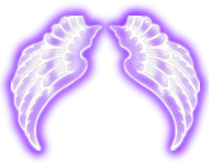 293910402015211 (2) (1)