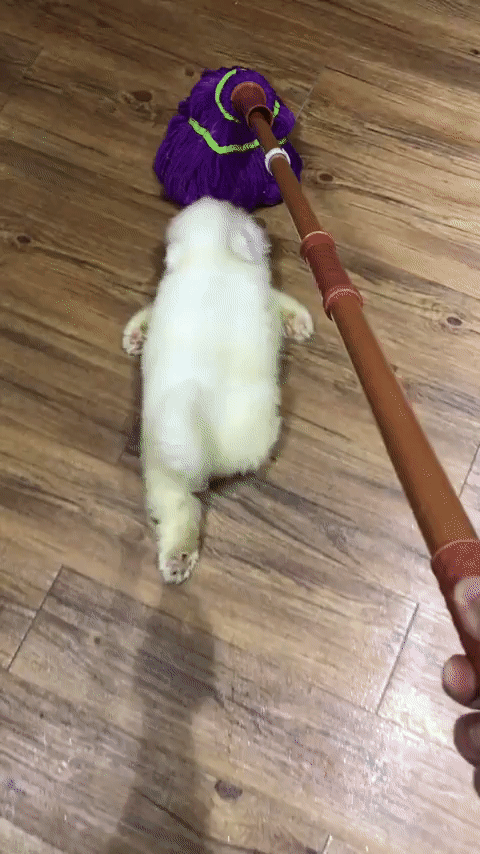 ezgif-5-72b54b09136d