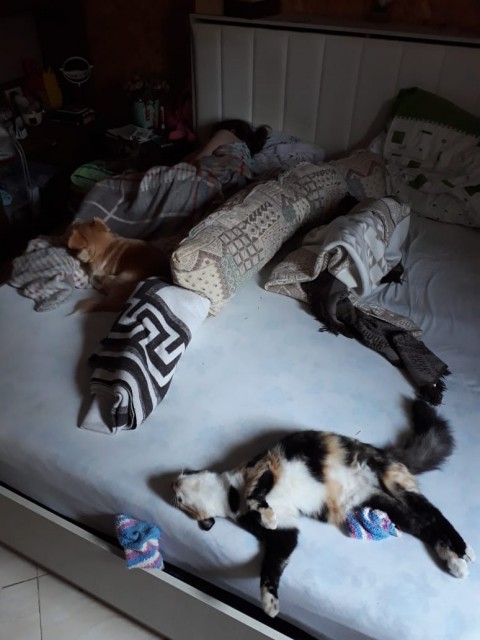 IMG-20190808-WA0000