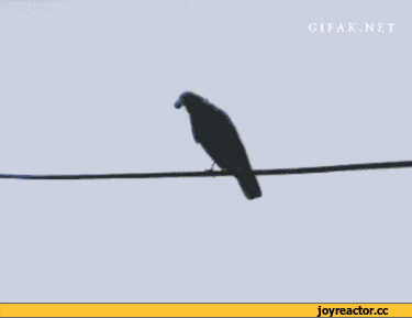 D0B3D0B8D184D0BAD0B8D0BFD182D0B8D187D0BAD0B0D183D0B4D0B0D0BBD191D0BDD0BDD0BED0B53293734