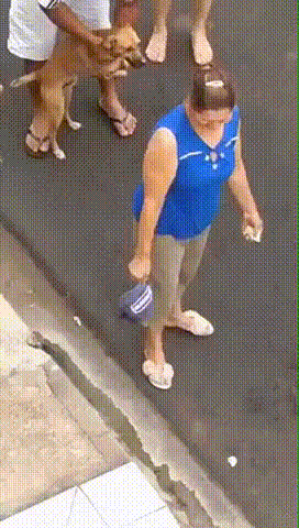 Собака
