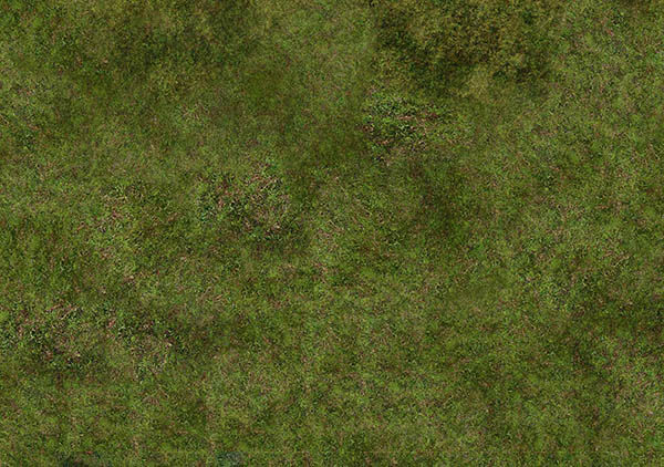 89F_groundbottomjpg_yapfiles (1)