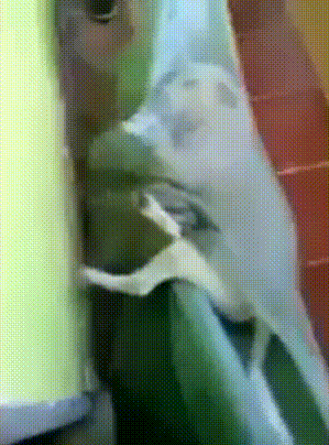 7a19f150fa44b7db226e8d5610e0efcf_273238_1498546632