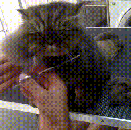 f7f75060332b19899d1ac53f6e59beb6_273238_1498884638