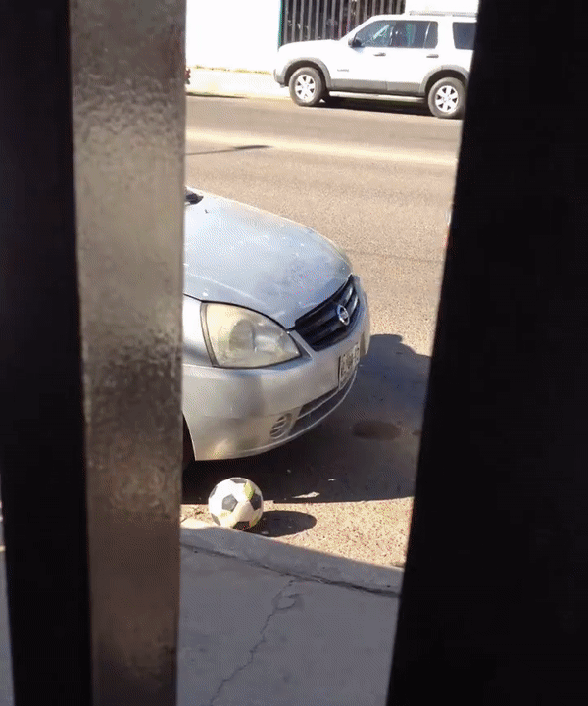 67417ac15ef7a25d6d67298de1ad773d_342249_1567002438