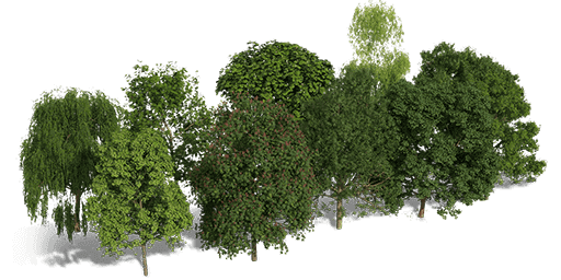 xx02%25252525252520(1)2