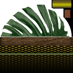 растение-min