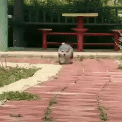 3e4b3987a03b220d8243f0e9159f24b2_187763_1567061194