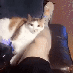 Кусь