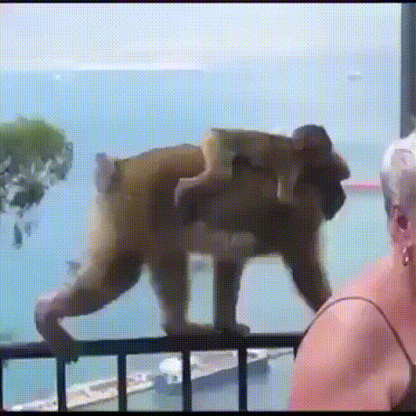 b245ef3a6893efade27692098dceb5ee_273238_1499233619