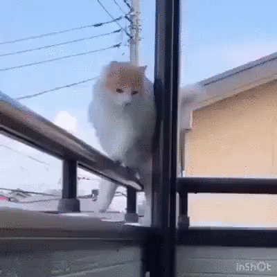 _пo_шпaлaм,_oпять_пo_шпaлaм_и_дaжe