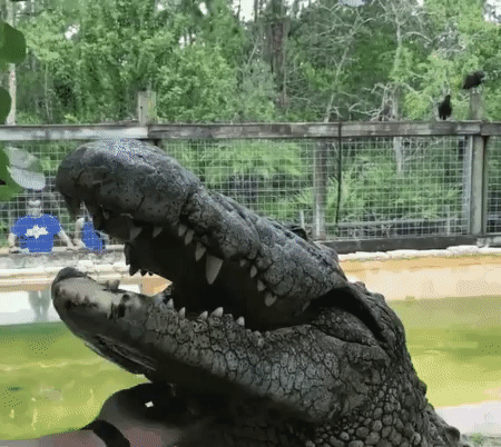 b92afd2cc09834771ec92a23c9c9fd0c_273238_1499856464