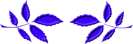 6_1