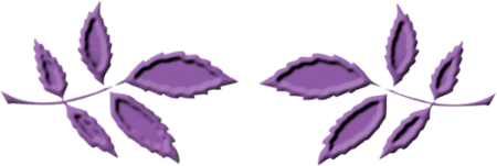 6_3