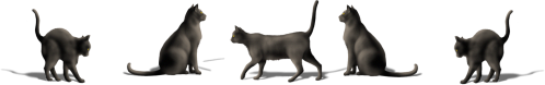 170