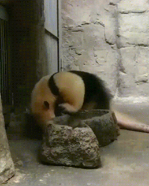 be51dc4853866c9538613581df8fe170_273238_1500274279