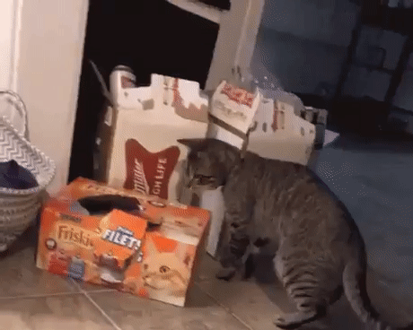 639caea8473d3d77c186516e45b4972c_273238_1500358516