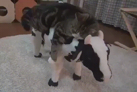 5ebd8fad6262fb4d782238251200c27b_273238_1500386017