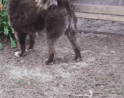 24855252522685_tumblr_oumoiwhja01t95h1uo1_400