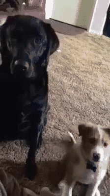 48d749fe60343ab328d8954f0a63e4ff_342249_1569705982