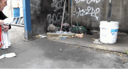 a2bdb18026c372285e07c50775b9e0ac_342249_1569619788