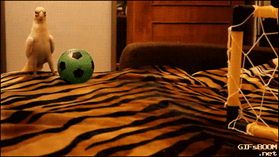 21b401a67e4e5a3c95b1dc2e1f372fd9