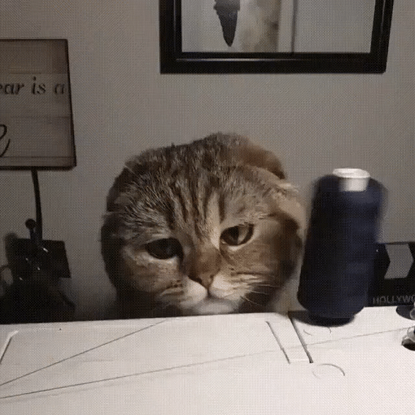 ezgif-2-fead7b6d7e73