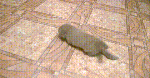 d63c738409a34c677fcc67b8786cbc55_192286_1569843277